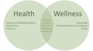Health Vs Wellness